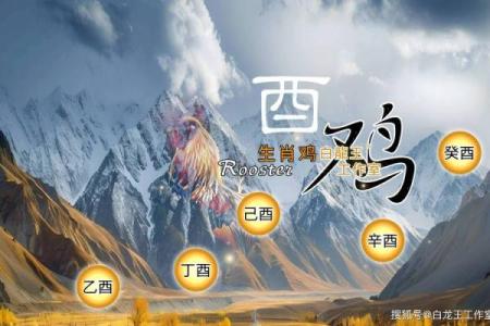 2026年属鸡人3月买车吉日 生肖属鸡2026年3月买车黄道吉日一览表